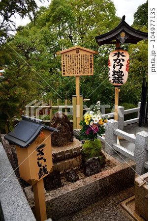 地主神社より 地主神社より 104977135