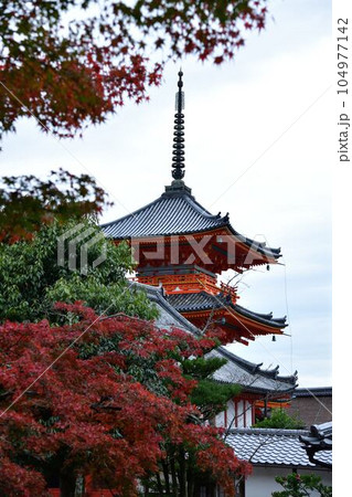 清水寺の紅葉 清水寺の紅葉 104977142
