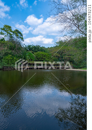 The lake in the khao kheow open zoo The lake in the khao kheow open zoo 104978211