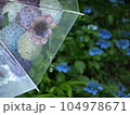紫陽花傘とガラス玉 104978671