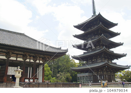 興福寺　五重塔と東金堂 104979034