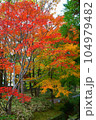 紅葉の日本庭園 104979482