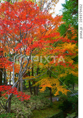 紅葉の日本庭園 104979482