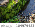 苔むした石橋の詳細 104979483