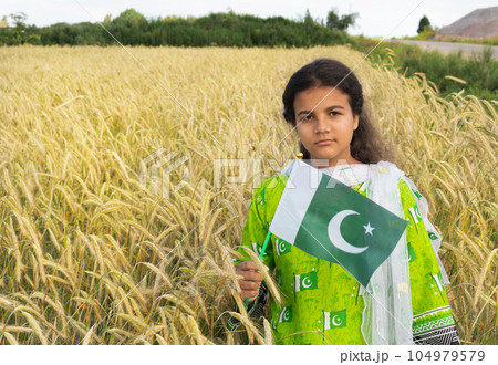 Girl waving flag of Pakistan outdoors over blue cloudy sky and golden wheat. 104979579