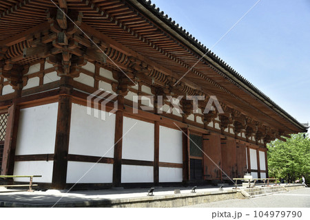 東寺　講堂【重要文化財】 104979790