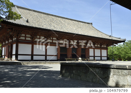 東寺　講堂【重要文化財】 104979799