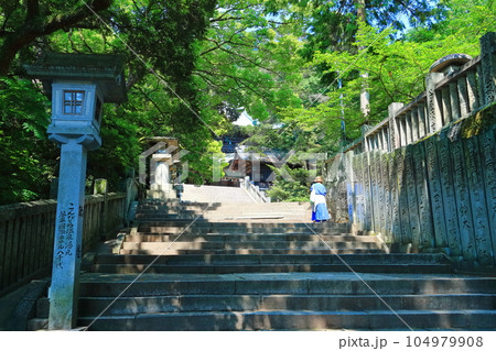 【香川県】早朝の「こんぴらさん」金刀比羅宮(旭社・社殿に向かう長い石段) 【香川県】早朝の「こんぴらさん」金刀比羅宮(旭社・社殿に向かう長い石段) 104979908