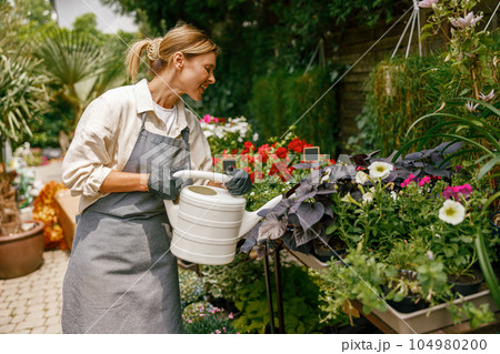 Professional woman florist wearing apron taking care of plant watering it in floral shop Professional woman florist wearing apron taking care of plant watering it in floral shop 104980200