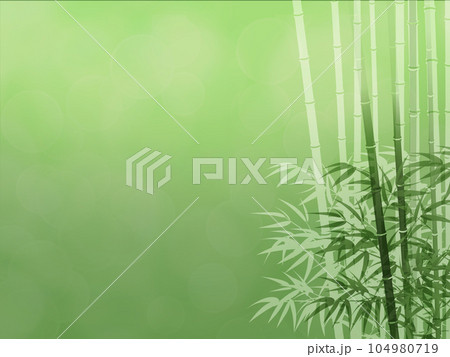 竹の葉と影のある風景 104980719