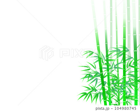 竹の葉と影のある風景 104980745