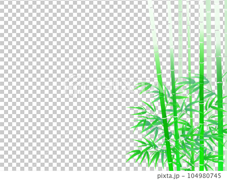 竹の葉と影のある風景 104980745