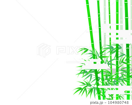 竹の葉と影のある風景 104980748