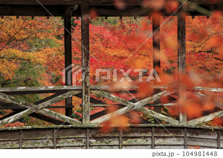 晩秋の三原佛通寺 巨蟒橋と紅葉 晩秋の三原佛通寺 巨蟒橋と紅葉 104981448