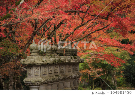 晩秋の三原佛通寺　石燈篭と紅葉 104981450