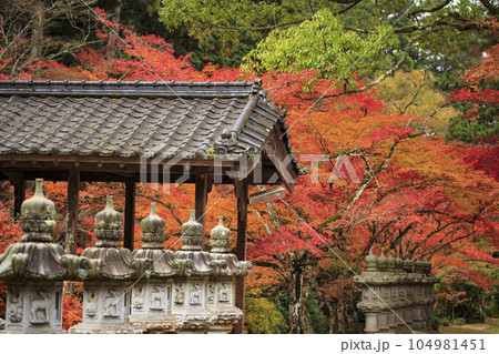 晩秋の三原佛通寺　巨蟒橋と紅葉 104981451