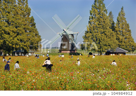秋風も心地よく、人々は紅葉した公園のお花畑で花摘みに夢中 104984912