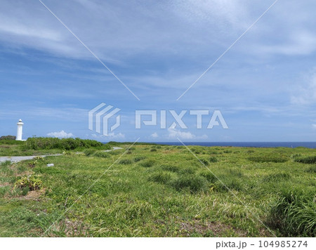 宮古島　東平安名崎の草原 104985274
