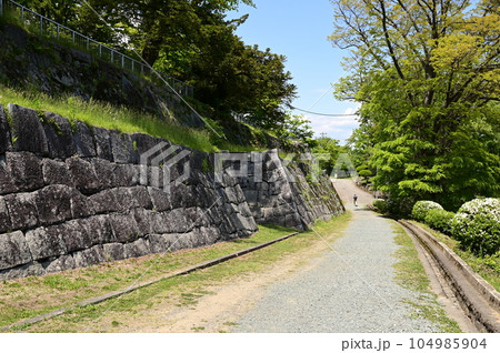 盛岡の春 盛岡城跡公園 104985904