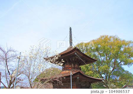 春日井市、密蔵院多宝塔の風景 春日井市、密蔵院多宝塔の風景 104986537