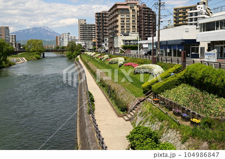 盛岡の春 北上川沿いの風景 104986847