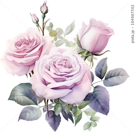 floral, illustration, watercolor, spring, nature, rose, flower, drawing, wedding, summer, leaf, pink, white, branch, design, bouquet, green, set, plant, decoration, invitation, garden, isolated, art, 104987502