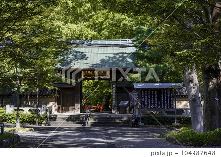 樹木に覆われる浄真寺山門 104987648