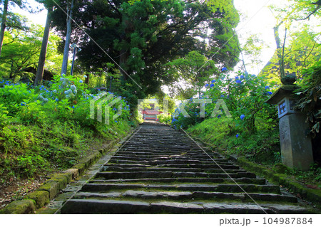 雨引観音 雨引観音 104987884