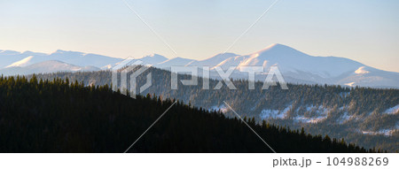 Panoramic mountain landscape with snowy high peaks and wooded valley 104988269