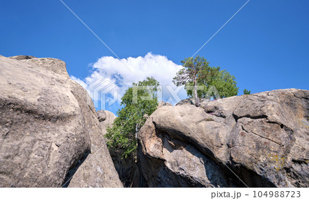 Huge rocky boulder formations high in mountains with growing trees on summer sunny day 104988723