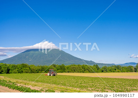 ニセコ　羊蹄山　美しい農地　トラクター 104990117