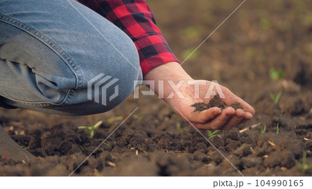 farmer working in tablet, hand holding earth soil soil, agriculture business, sprout green field farm, loam mud farming male preparation shot organic cultivated gardening their pouring man fertilized 104990165