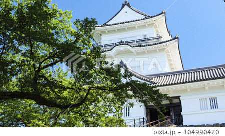 関東八州の名城の神奈川県小田原市の小田原城址の夏 104990420