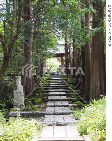 日本のお寺の風景 日本のお寺の風景 104990980