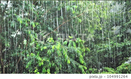 雨イメージ 雨イメージ 104991264