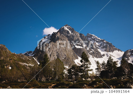 Mountain landscape. View of a high rocky mountain with snow in the summer on a sunny day, coniferous trees and a cliff in the foreground Mountain landscape. View of a high rocky mountain with snow in the summer on a sunny day, coniferous trees and a cliff in the foreground 104991564