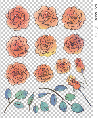 少女漫画風お花素材セット・ゴージャスな黄金の薔薇 少女漫画風お花素材セット・ゴージャスな黄金の薔薇 104991729