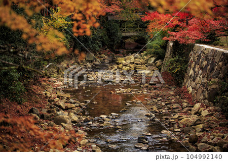 晩秋の三原佛通寺 巨蟒橋からの佛通寺川と飛猿橋 晩秋の三原佛通寺 巨蟒橋からの佛通寺川と飛猿橋 104992140