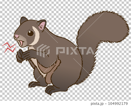 怒るムササビ 104992179