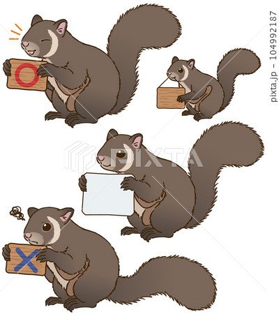 看板を持つムササビ 104992187