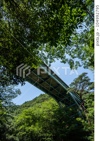 谷底から見上げる鈴鹿スカイラインの蒼滝大橋 谷底から見上げる鈴鹿スカイラインの蒼滝大橋 104992795