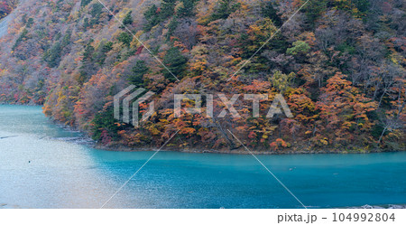 美しい山の紅葉　畑薙湖 104992804