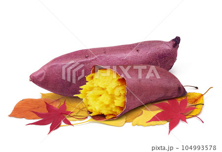 焼き芋と落ち葉のイラスト リアル 104993578