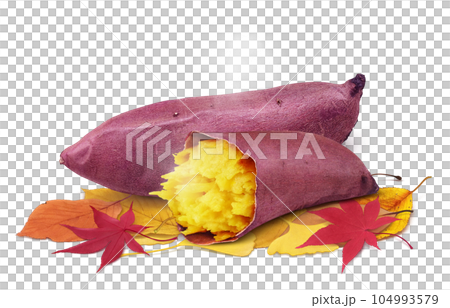 焼き芋と落ち葉のイラスト リアル 焼き芋と落ち葉のイラスト リアル 104993579