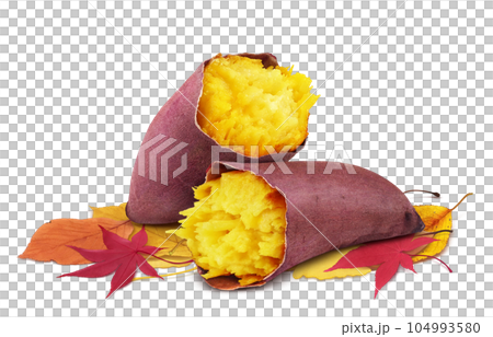 Illustration real of baked sweet potato and fallen leaves Illustration real of baked sweet potato and fallen leaves 104993580