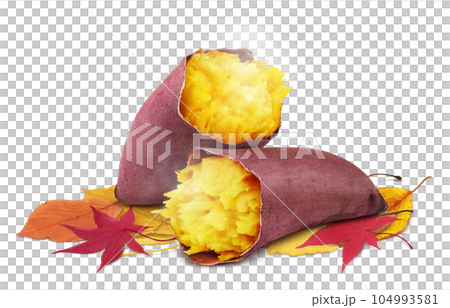 焼き芋と落ち葉のイラスト リアル 104993581