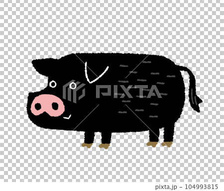Hand drawn illustration of cute black pig Agu 104993815