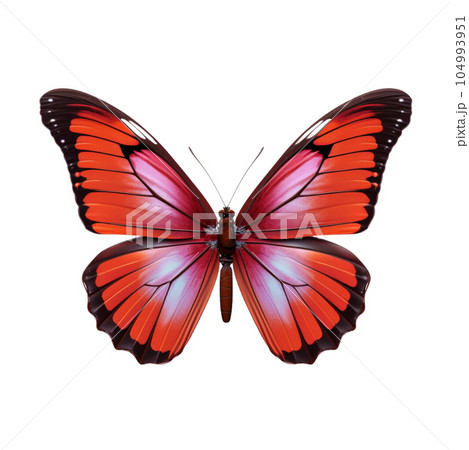 Colored butterfly isolated on white clip art 104993951