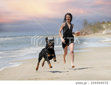 rottweiler and woman rottweiler and woman 104994078