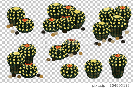 cute cactus illustration 104995155